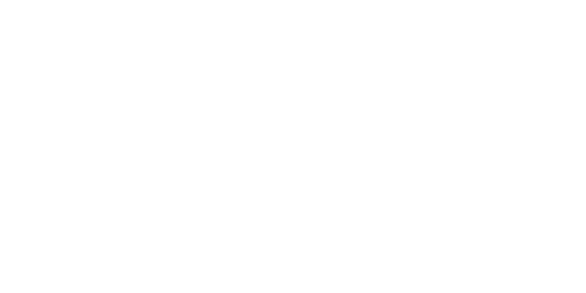 Plandek Client - Caseware
